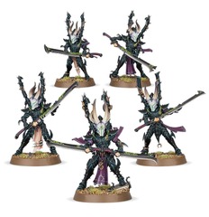 Drukhari Incubi